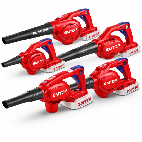 Sopladoras inalámbrica P20S