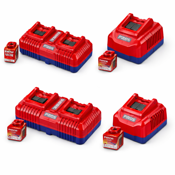 Cargador P20S para batería recargable