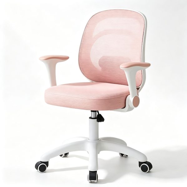 Silla Pequeña con Rueda Rosada 56 x 49 x 58